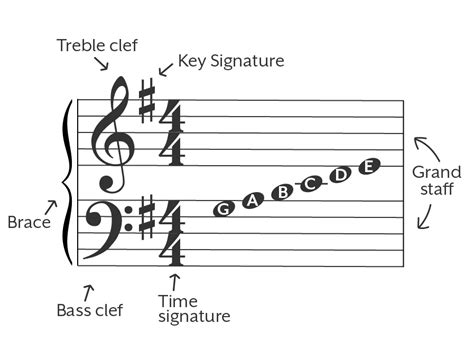 how to read sheet music for singing: the importance of understanding dynamics in vocal performances